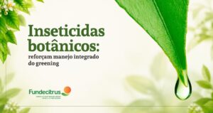 Inseticidas botânicos reforçam manejo integrado do greening