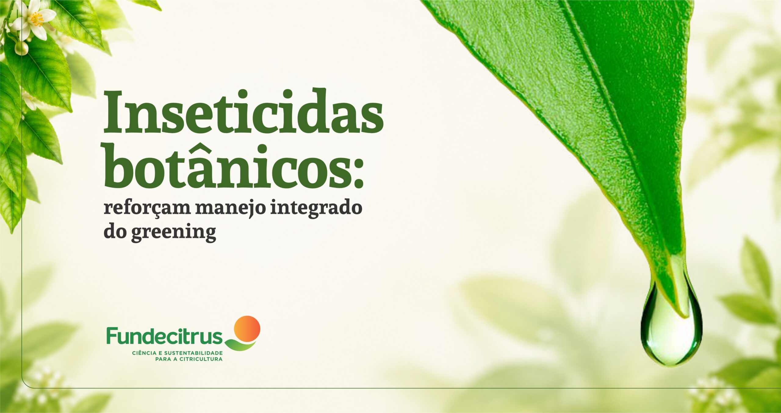 Inseticidas botânicos reforçam manejo integrado do greening