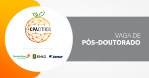 Fundecitrus abre processo seletivo para pós-doutorado na área em Fitopatologia/Epidemiologia
