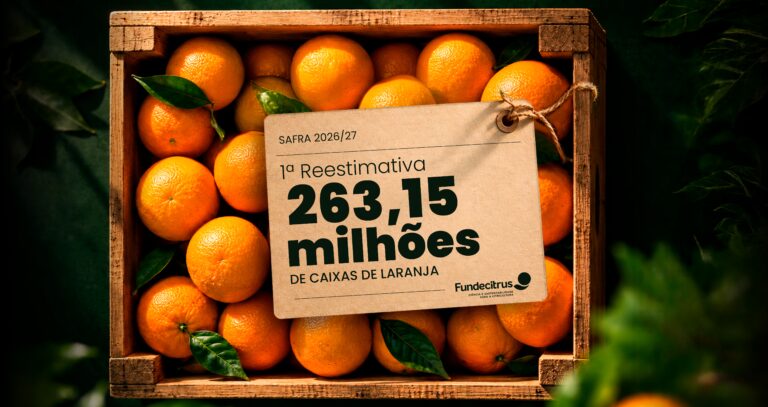 Primeira reestimativa da safra de laranja 2026/27 em SP e MG prevê produção de 263,15 milhões de caixas