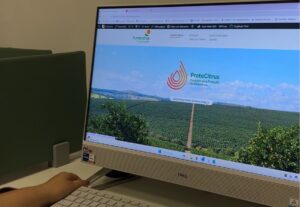 Fundecitrus reforça importância da escolha e da rotação de inseticidas no controle do psilídeo