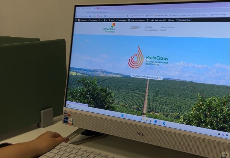 Fundecitrus reforça importância da escolha e da rotação de inseticidas no controle do psilídeo