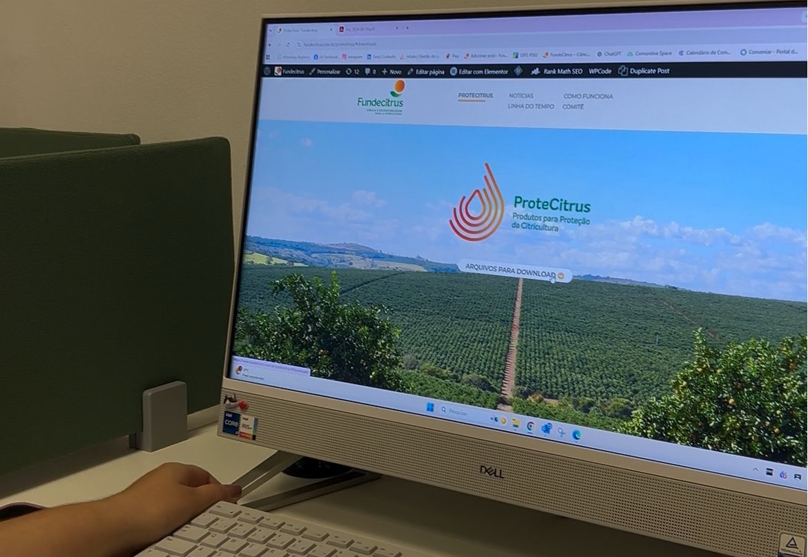Fundecitrus reforça importância da escolha e da rotação de inseticidas no controle do psilídeo